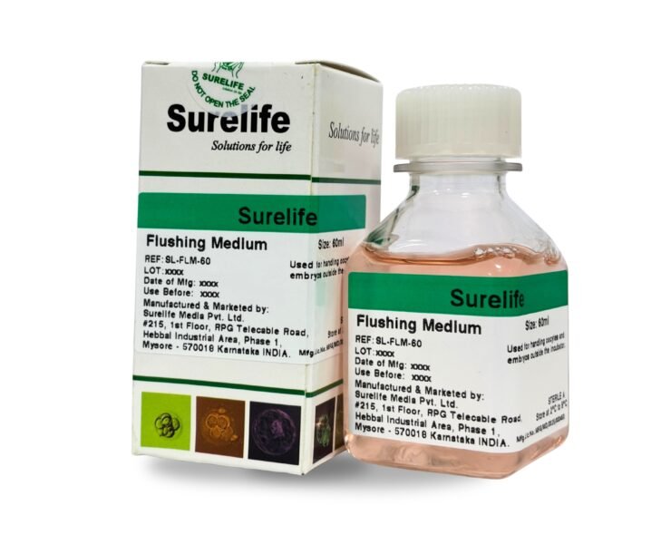 WhatsApp Image 2026-01-23 at 3.16.50 PM