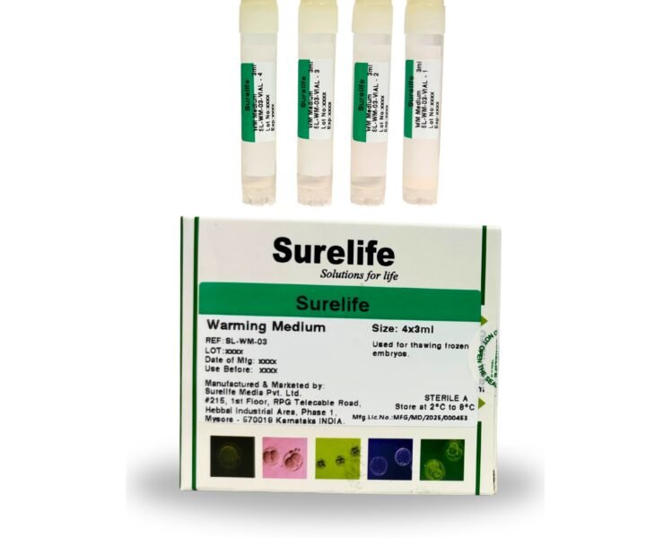 WhatsApp Image 2026-01-23 at 3.16.55 PM