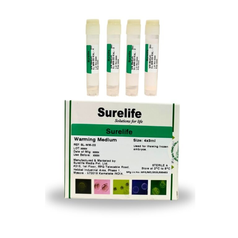 WhatsApp Image 2026-01-23 at 3.16.55 PM