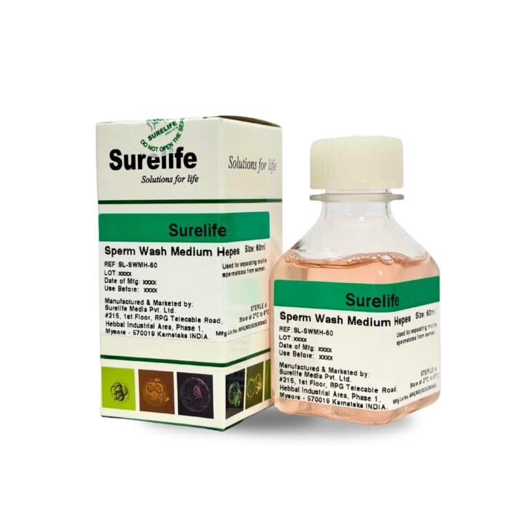 WhatsApp-Image-2026-01-23-at-3.16.51-PM-1