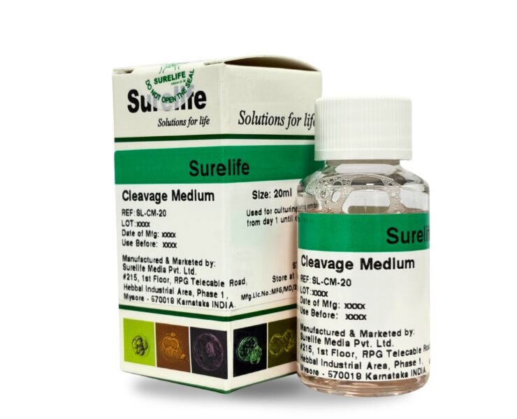 WhatsApp-Image-2026-01-23-at-3.16.52-PM-1