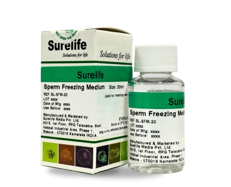 WhatsApp-Image-2026-01-23-at-3.16.53-PM-2