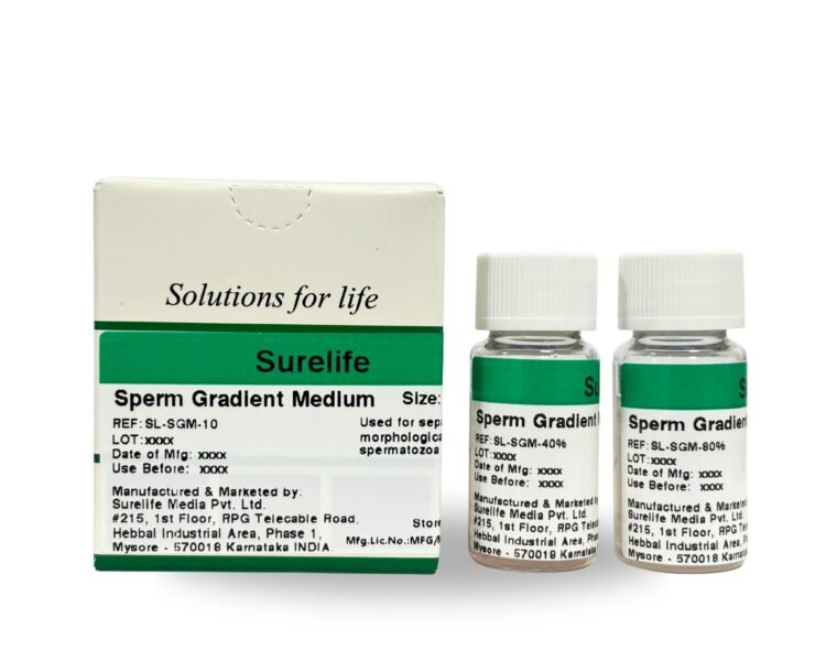 WhatsApp-Image-2026-01-23-at-3.16.55-PM-2