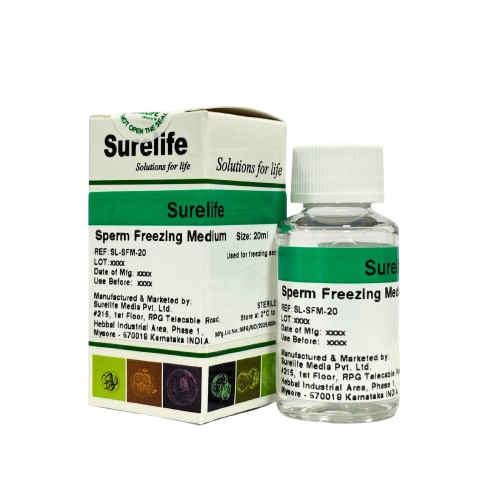 WhatsApp-Image-2026-01-23-at-3.16.53-PM-2-removebg-preview